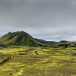 Foto finalista