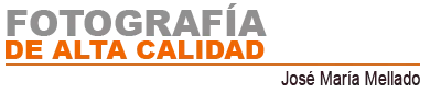 cropped logo fda 14.png